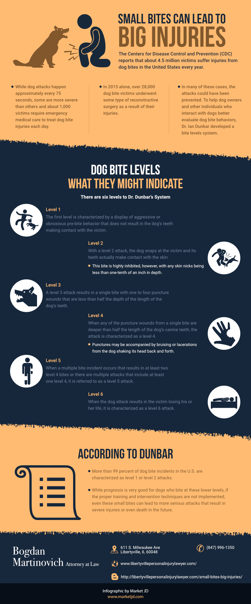 Small Bites Can Lead to Big Injuries 1 Infographic about how a small bite can lead to big injuries